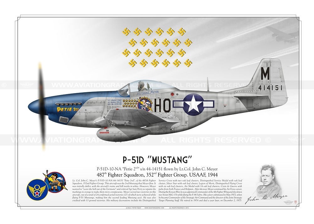 p-51d-mustang-petie-2nd-usaaf-tk-01.jpg